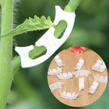 Load image into Gallery viewer, 100Pcs Plant Tomato Clip Fastener Plant Vines Vegetable Farming Clip Vine Bushes Tendril Binder Plants Clips For Greenhouse