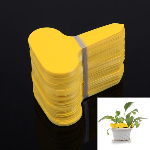 100Pcs T-type Plastic Plants Labels Nursery Flower Pot Thick Tags Marker Goods for Plants Garden Decoration Tools